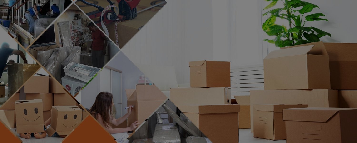 portfolio-6-1140x760